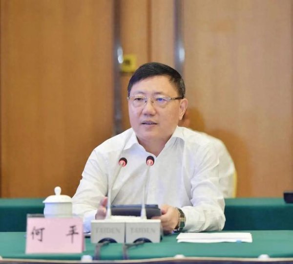 配资正规平台 涉嫌严重违纪违法，巴中市委原书记何平，被查！